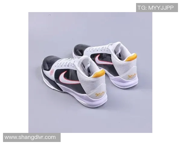 篮球明星鞋的魅力与科技结合引领潮流新风尚